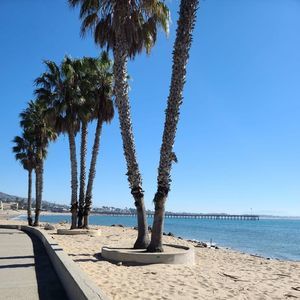 Meet your Posher, Alex jr